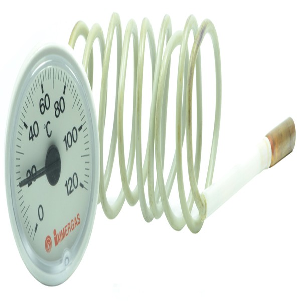 Termometru pentru centrala termica Immergas ZEUS, cod piesa 1.023628 - Prompt Service